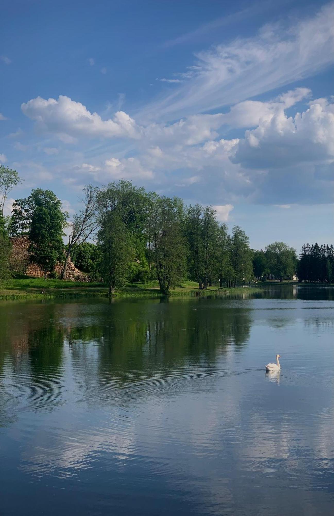 فيلا Tiny Lake House Alūksne المظهر الخارجي الصورة